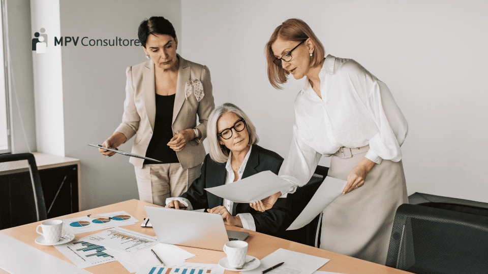 consultoria santarem