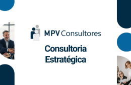 consultoria santarém